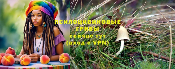 первитин Вяземский